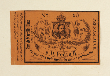 vizualizar o documento on line